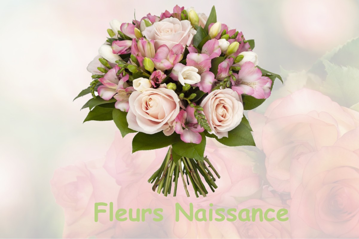 fleurs naissance VALFIN-SUR-VALOUSE