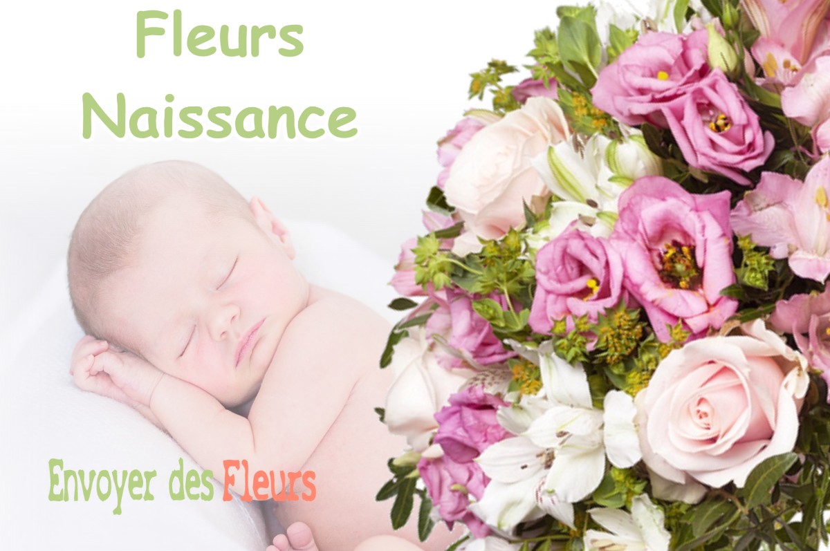 lIVRAISON FLEURS NAISSANCE à VALFIN-SUR-VALOUSE